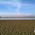 IMG_1207