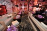VIP section Baoli