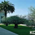 U Palazzu Serenu by Koming Up