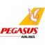pegasus_logo