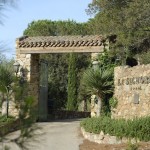 SIGNORIA-ENTREE25