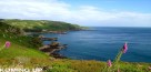 JERSEY LITTORAL BY KOMING UP JERSEY LITTORAL BY KOMING UP