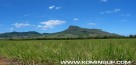 ILE MAURICE BY KOMING UP