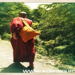 INDE MOINE BY KOMING UP