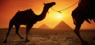 EGYPTE BY KOMING UP