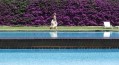BARCELONE-HOTEL-REY-JUAN CARLOS GARDENS-KOMING-UP BARCELONE-HOTEL-REY-JUAN CARLOS GARDENS-KOMING-UP