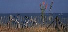 PLAGE-DE-RIVEDOUX-ILE-DE-RE-koming-up-blog-voyage PLAGE-DE-RIVEDOUX-ILE-DE-RE-koming-up-blog-voyage