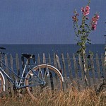 PLAGE-DE-RIVEDOUX-ILE-DE-RE-koming-up-blog-voyage PLAGE-DE-RIVEDOUX-ILE-DE-RE-koming-up-blog-voyage