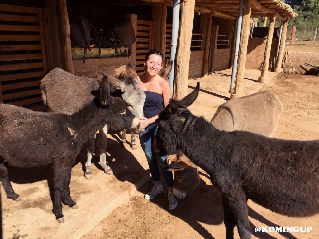 Le Palais Paysan Marrakech boutique hotel de luxe au pied des montagnes de l'Atlas rencontre avec les ânes à la ferme