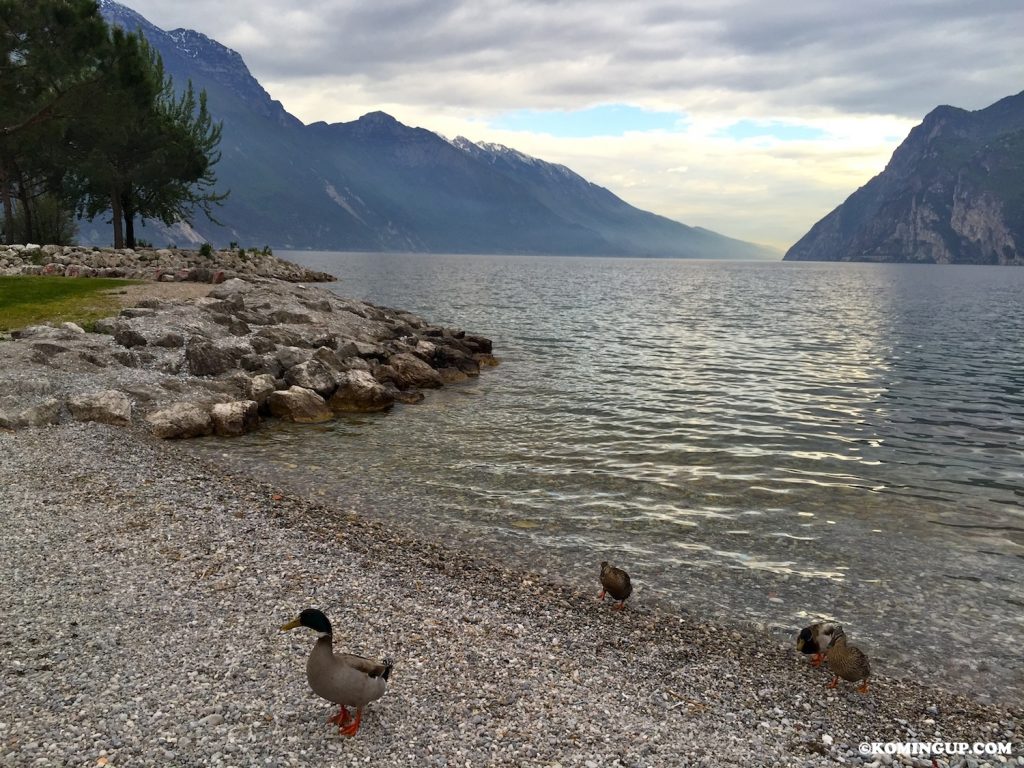 Carnet de voyage d'une parisienne en Italie du nord lac de garde canard