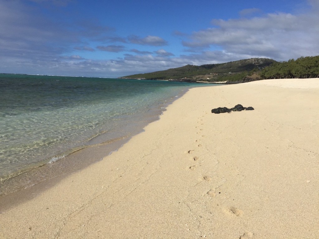 Ile rodrigues ocean indien plage anse ally 3