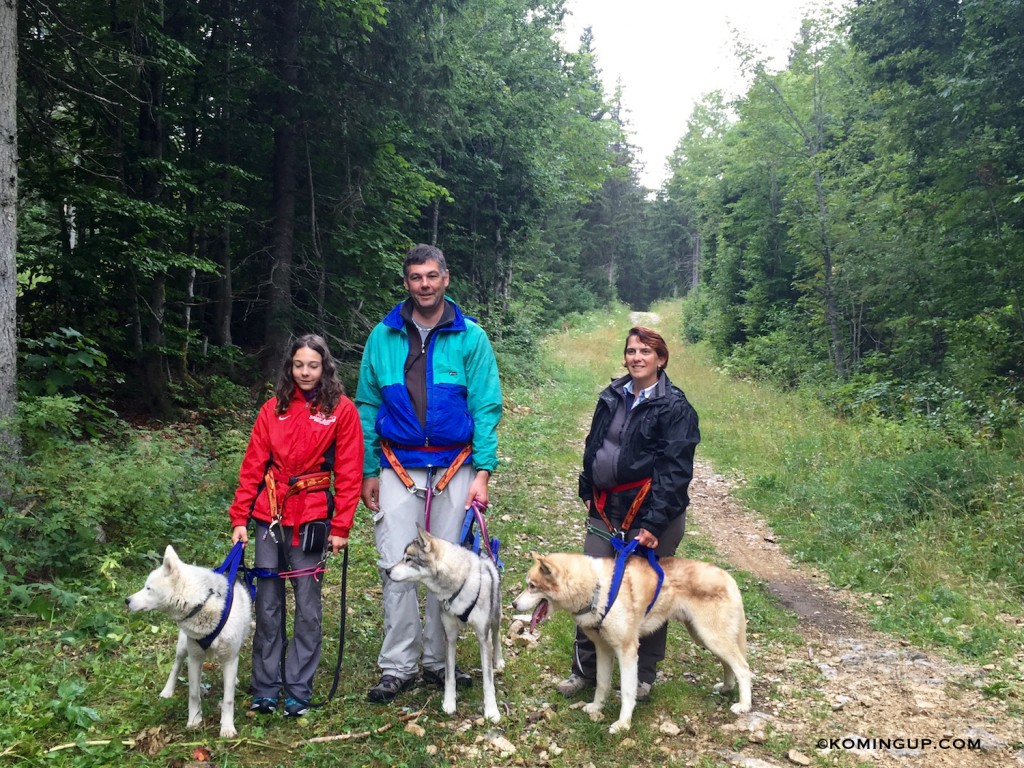 cani-rando-en-famille-mikia-chiens-de-traineaux-grand-revard-aix-les-bains