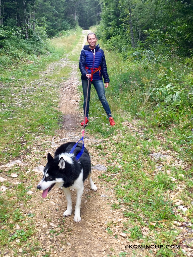 cani-rando-val-komingup-mikia-chiens-de-traineaux-grand-revard-aix-les-bains