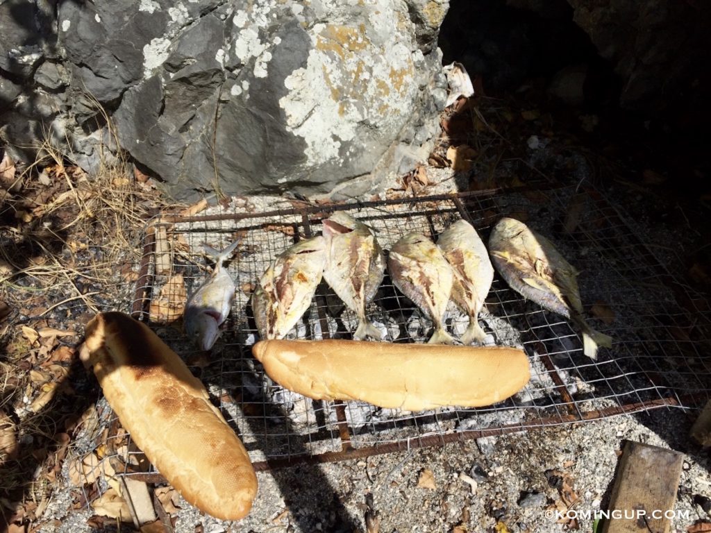 ile-rodrigues-ocean-indien-barbecue-sur-ilot