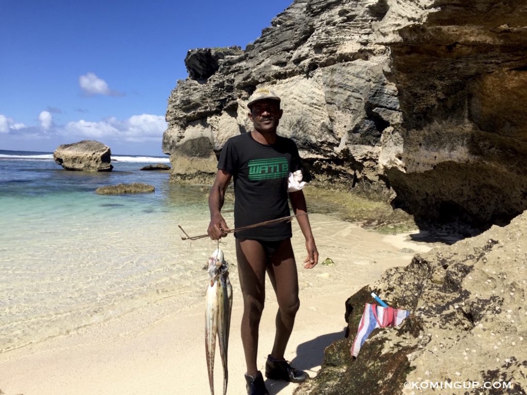 ile-rodrigues-ocean-indien-piqueur-ourites