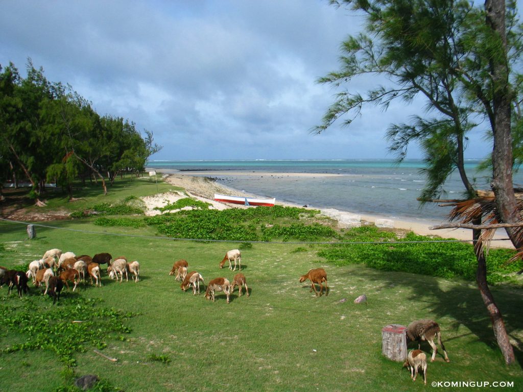 ile-rodrigues-ocean-indien-plage-de-la-belle-rodriguaise