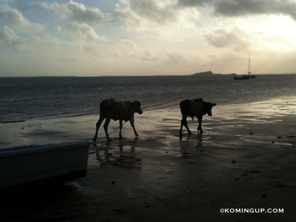 ile-rodrigues-plage-de-mourouk-le-soir