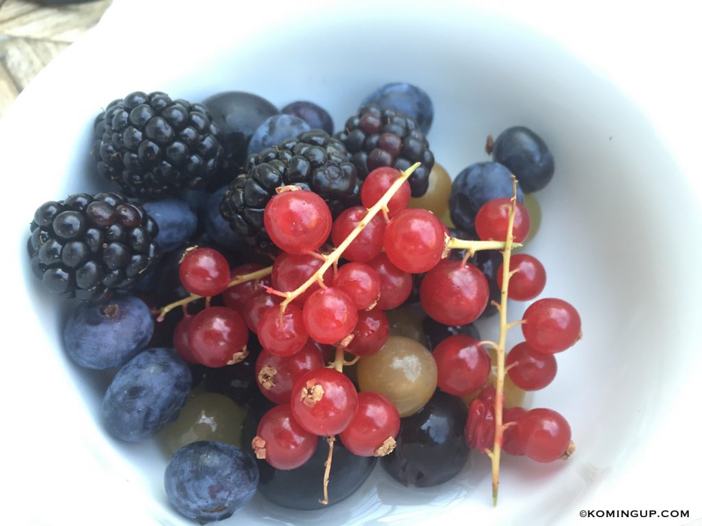 le-domaine-de-manville-hotel-cinq-etoiles-les-baux-de-provence-petit-dejeuner-fruits-rouges