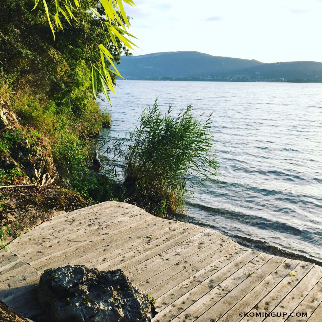 Maison-hôtes-la-turquoise-egarée-bourget-du-lac-plage-privee