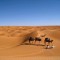 htel-dar-dhiafa-djerba-tunisie-desert-by-koming-up