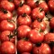 toile-blanche-saint-paul-de-vence-by-koming-up-tomates