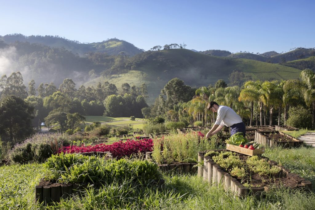 Six Senses Botanique Hotel Bresil jardin bio