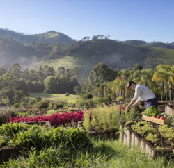 Six Senses Botanique Hotel Bresil jardin bio